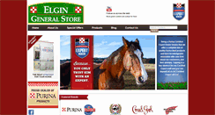 Desktop Screenshot of elgin-generalstore.com